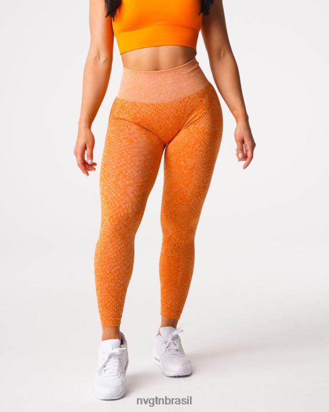 NVGTN fitness mulheres legging sem costura de pele de cobra laranja queimado NNJ66L684