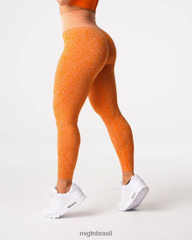 NVGTN fitness mulheres legging sem costura de pele de cobra laranja queimado NNJ66L684